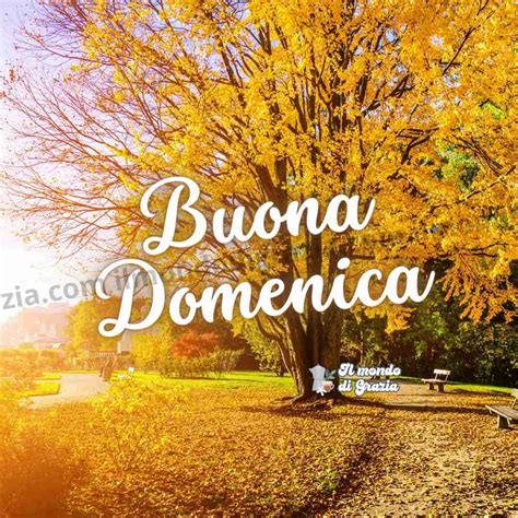 buona domenica autunnale